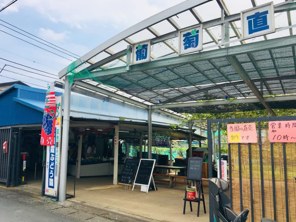 北朝霞ぶどう園