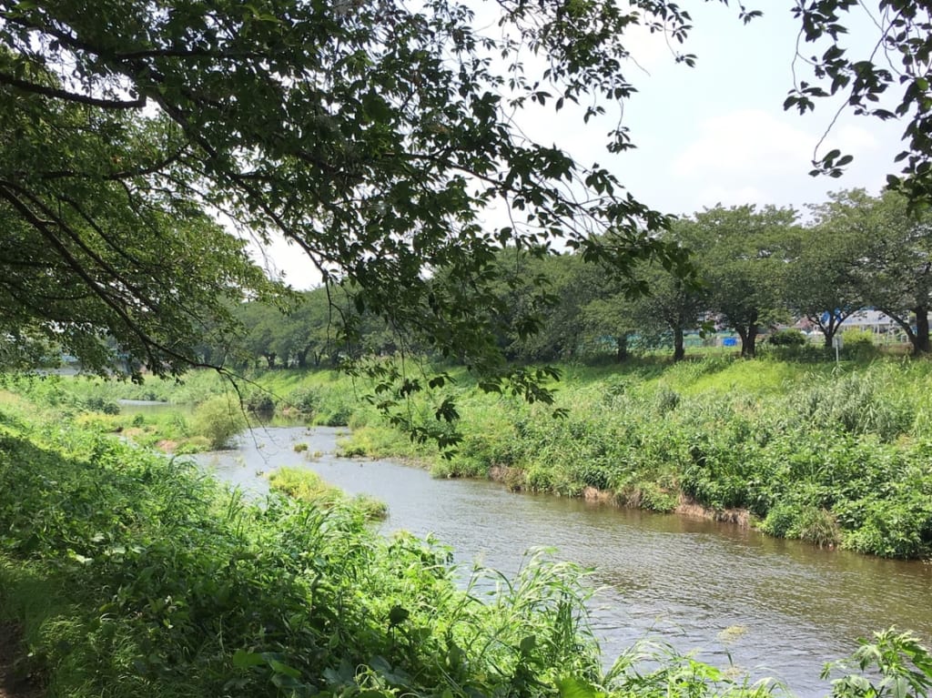 朝霞黒目川川まつり