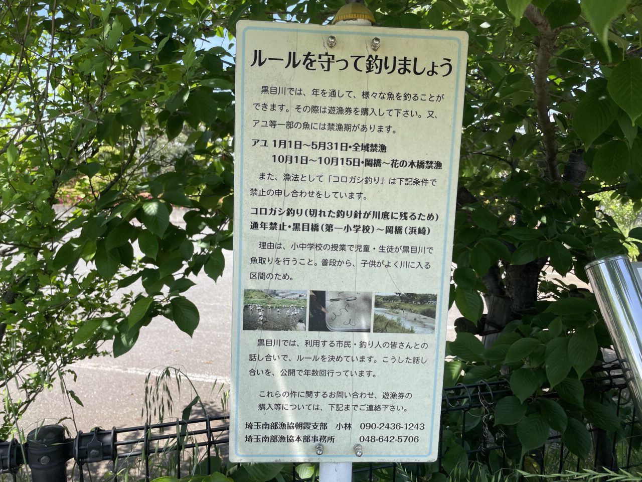 黒目川の釣りに関する看板