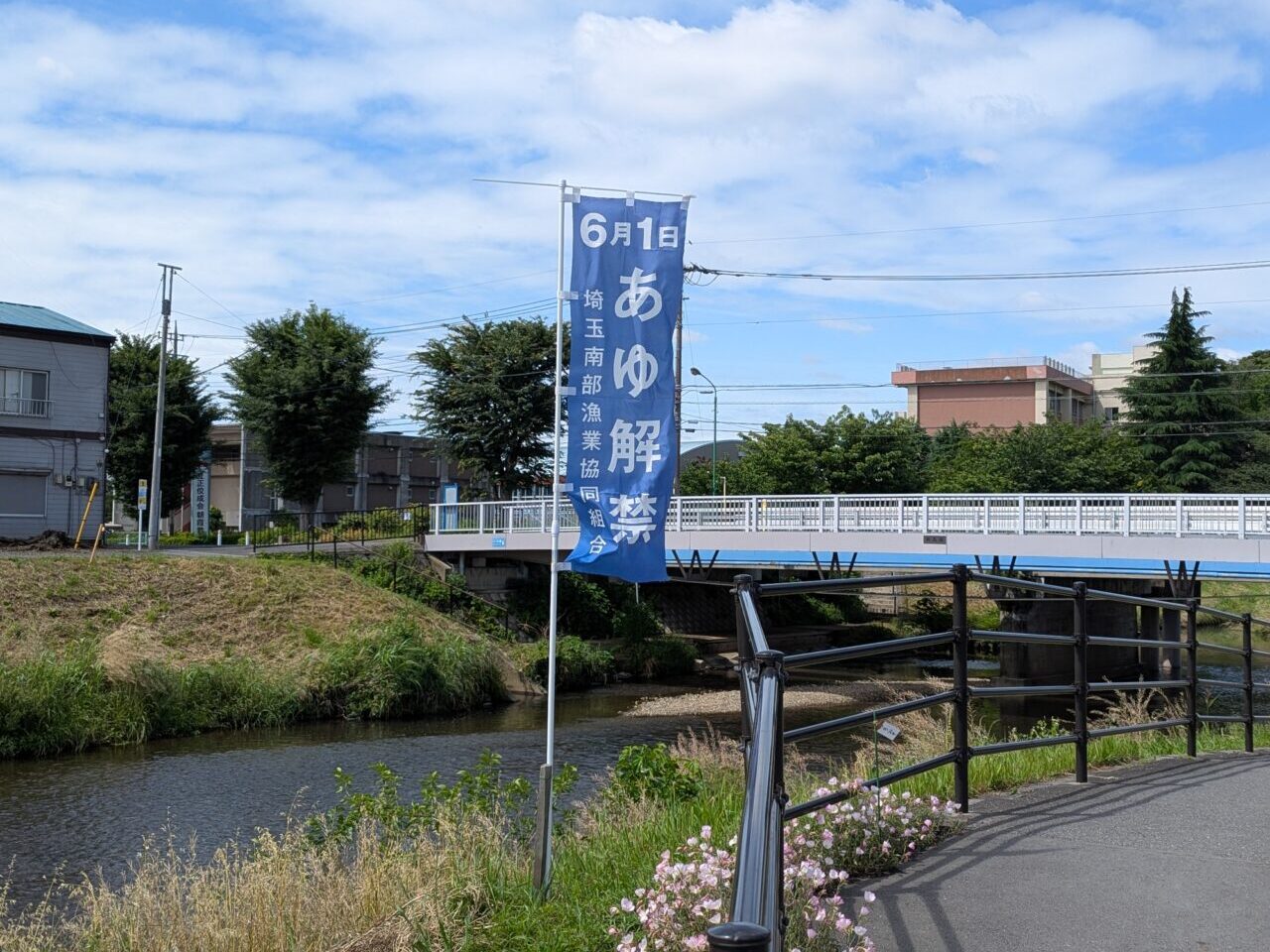 2025年6月1日に黒目川にたっていた鮎解禁ののぼり