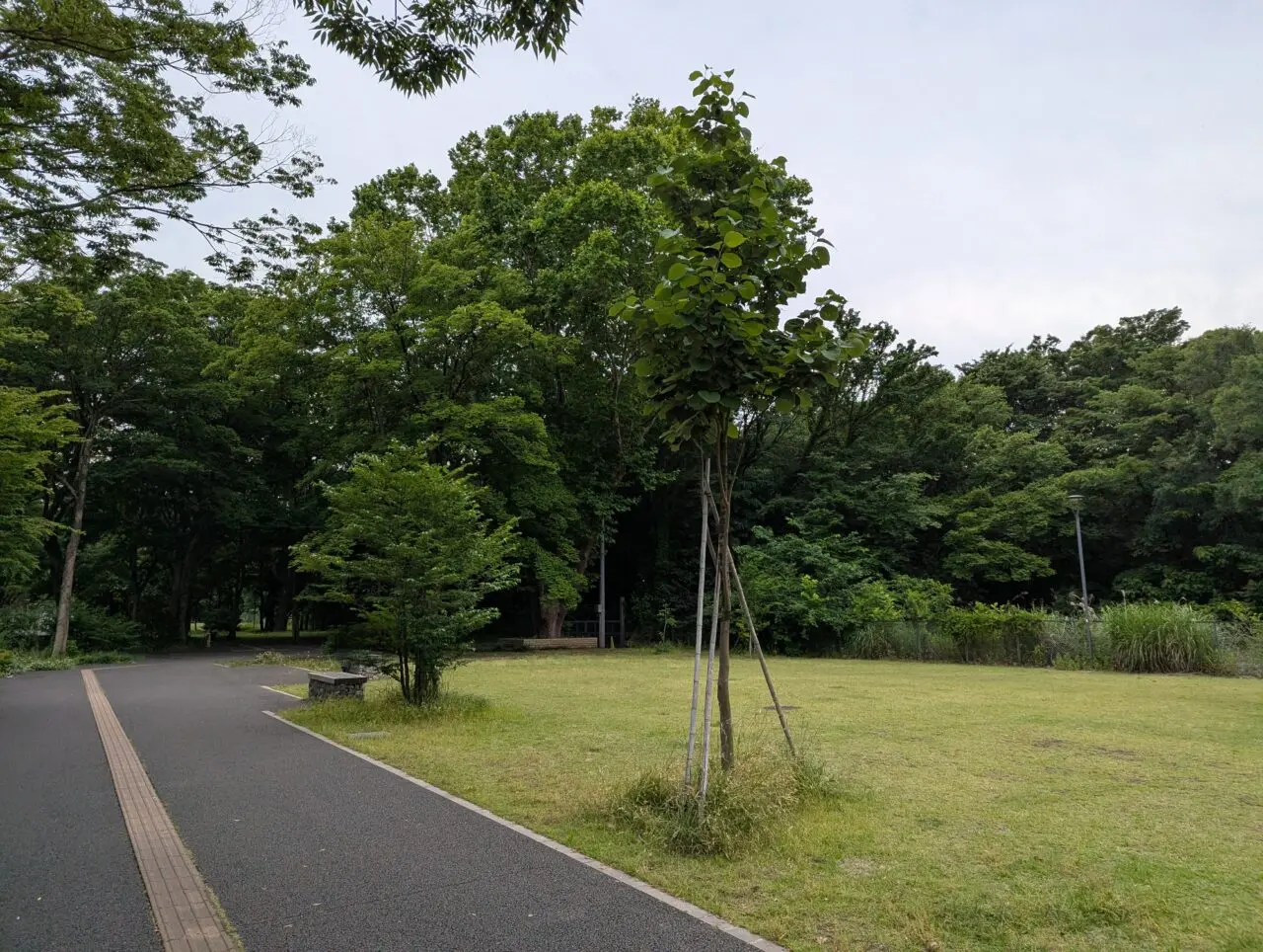 朝霞市シンボルロード中央広場