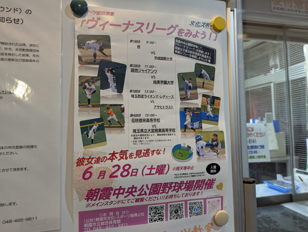 2025年6月28日に朝霞市中央公園野球場行われるヴィーナスリーグのポスター