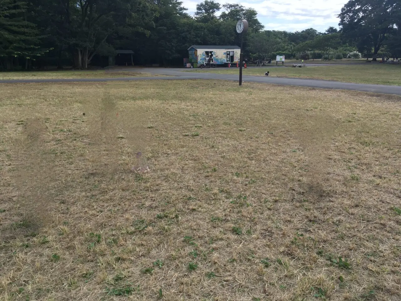 朝霞の森プレーパーク