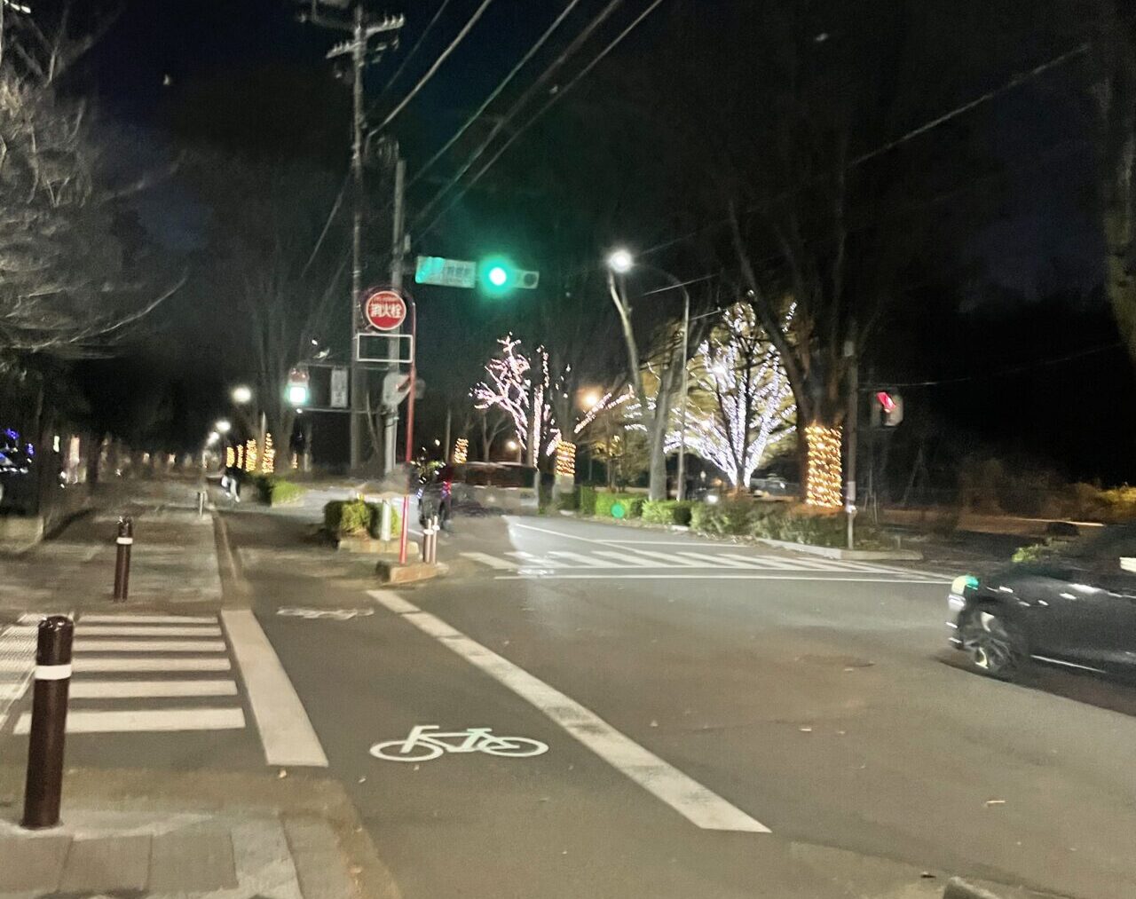 朝霞市総合体育館前のシンボルロードのイルミネーション