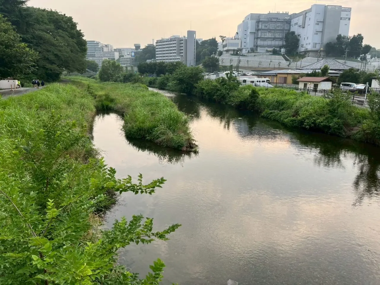 朝霞市を流れる黒目川の様子