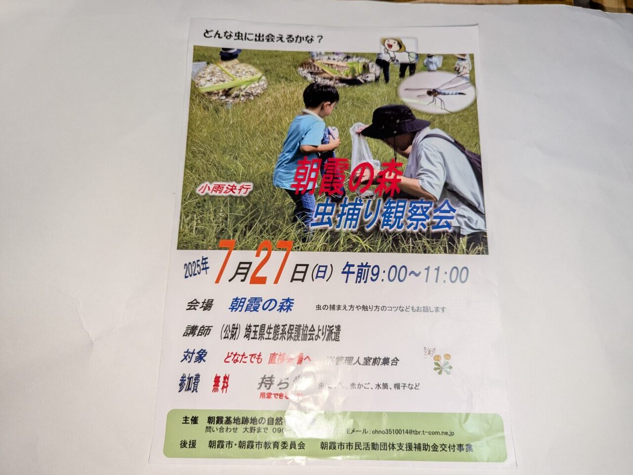 朝霞の森で開催される虫捕り観察会のチラシ
