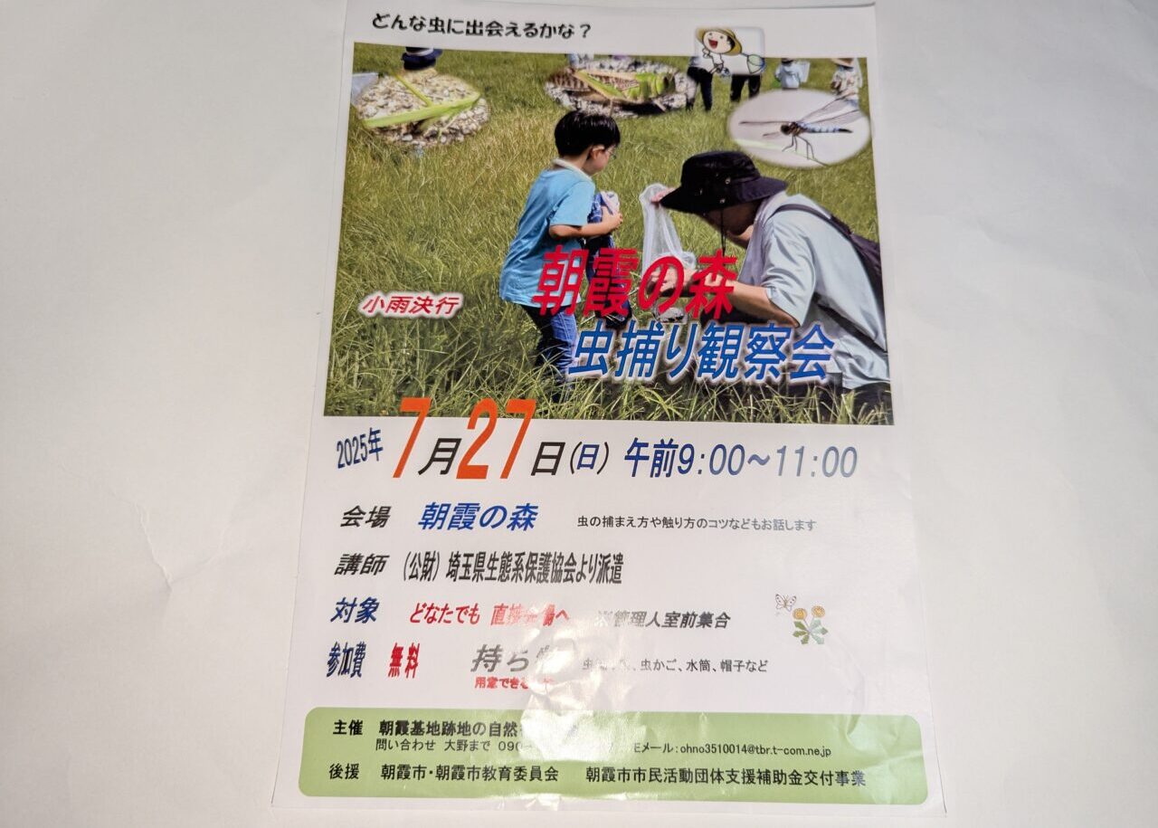 朝霞の森で開催される虫捕り観察会のチラシ
