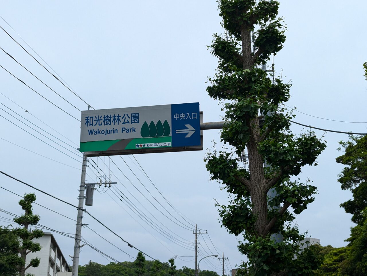 和光市広沢にある樹林公園の交通標識