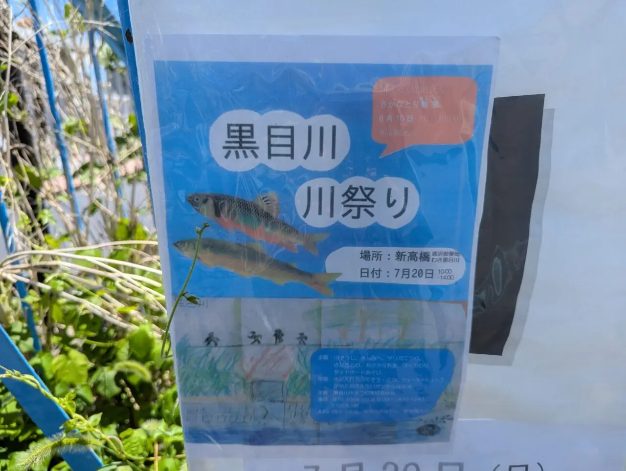 朝霞市の黒目川川まつりのチラシ