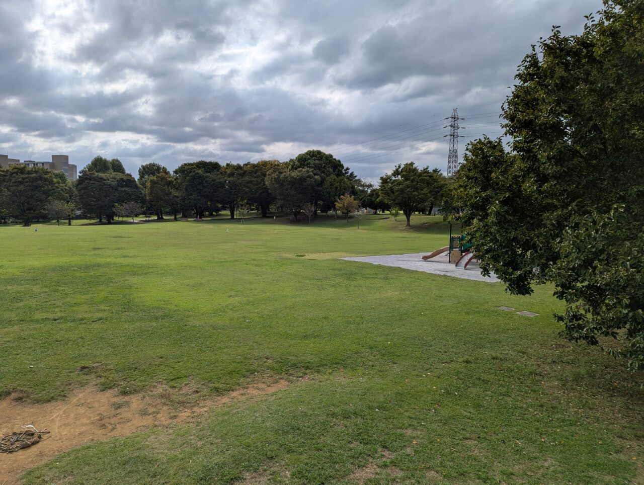 和光市広沢にある埼玉県営和光樹林公園