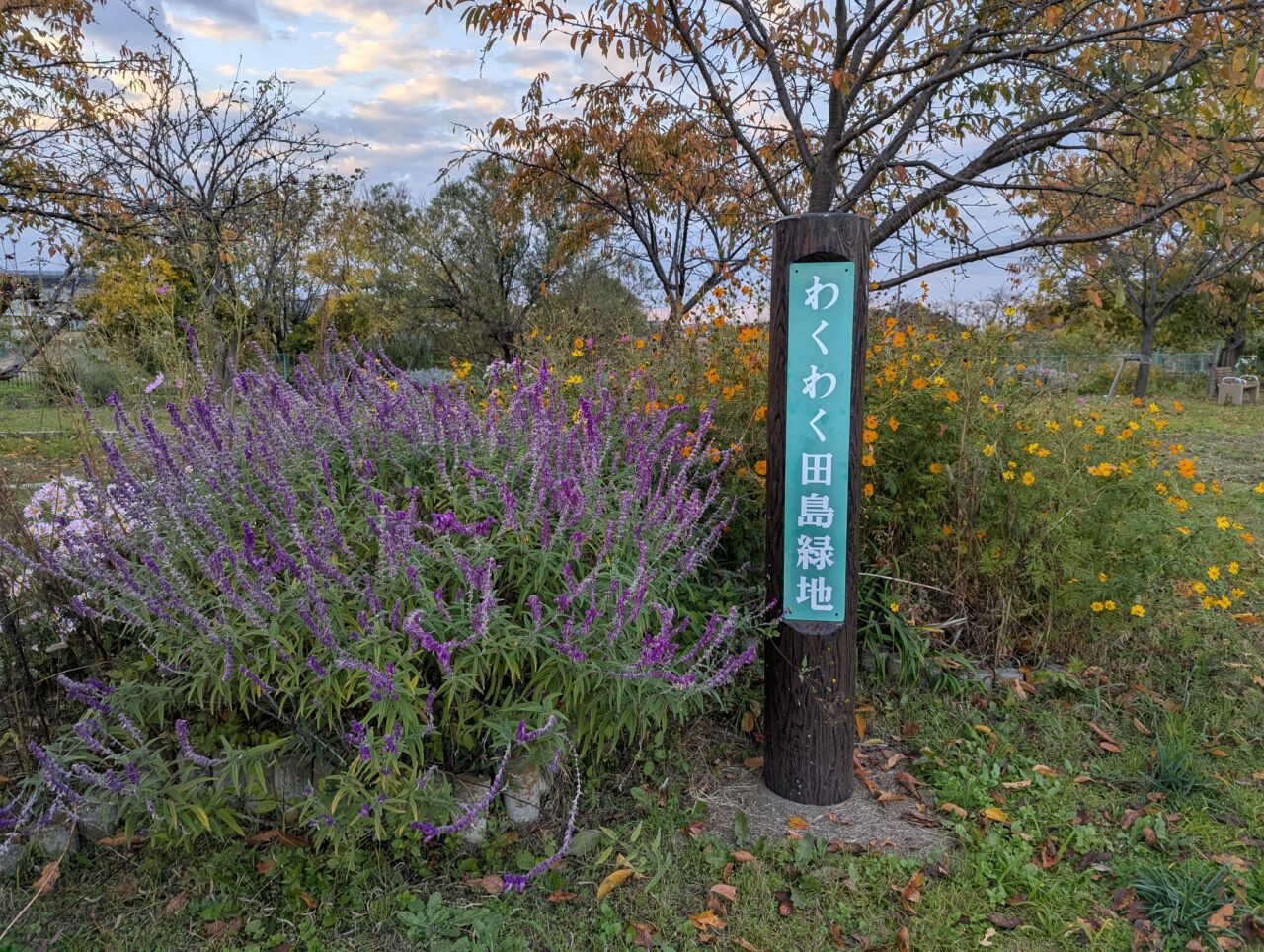朝霞市にあるわくわく田島緑地