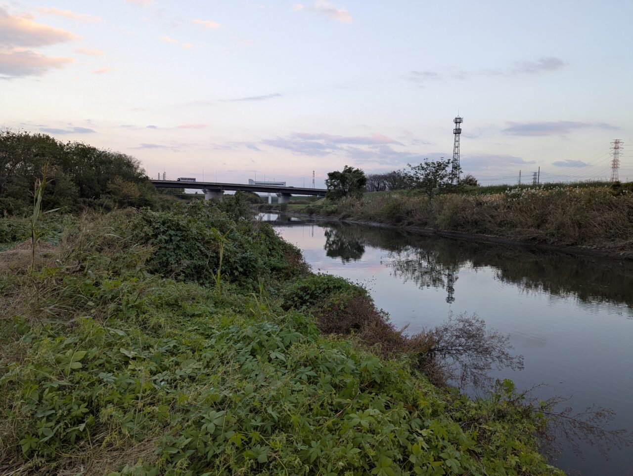 朝霞市田島にあるわくわく田島緑地