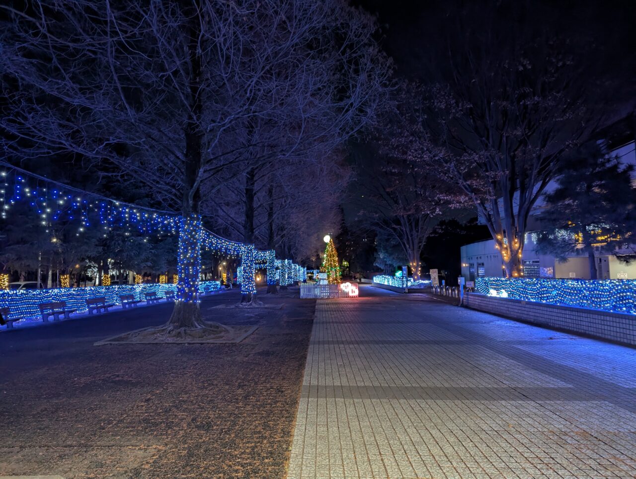 朝霞市シンボルロード周辺で行われている冬のあかりテラス2025のイルミネーションの様子