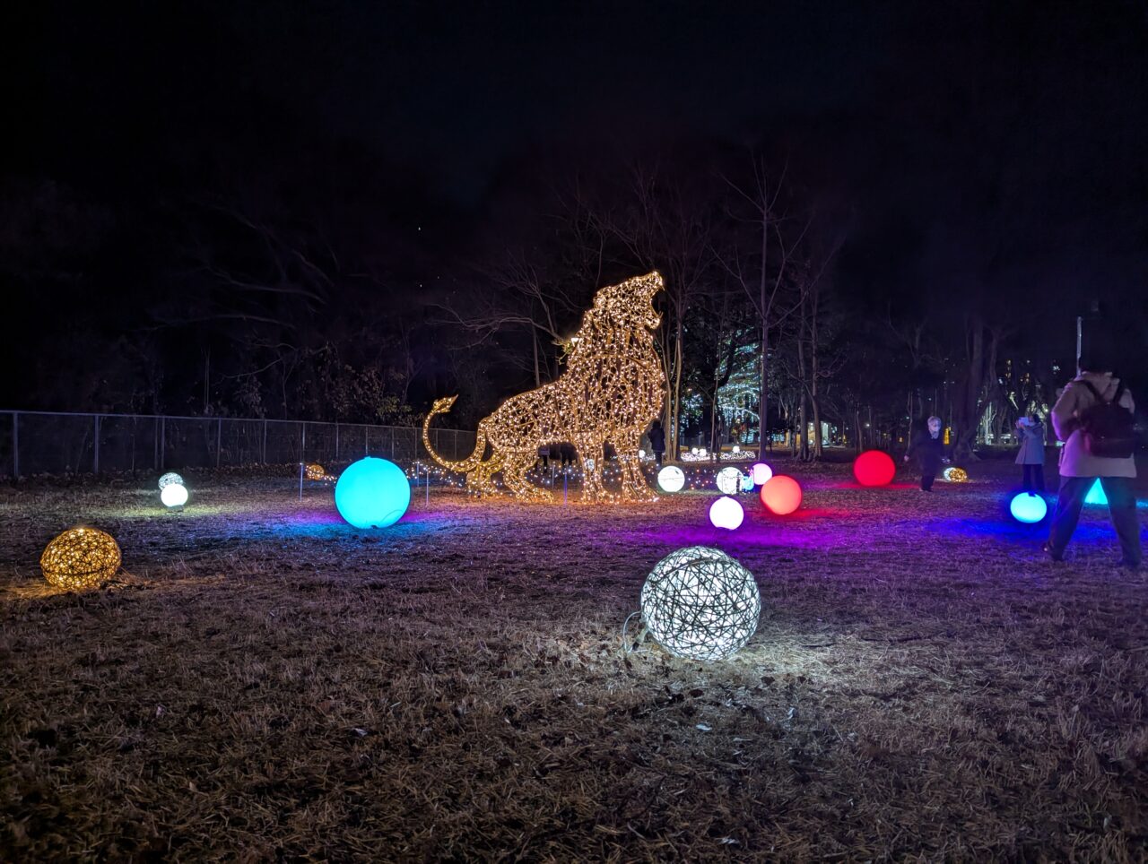 朝霞市のシンボルロードで行われている冬のあかりテラス2025のイルミネーション