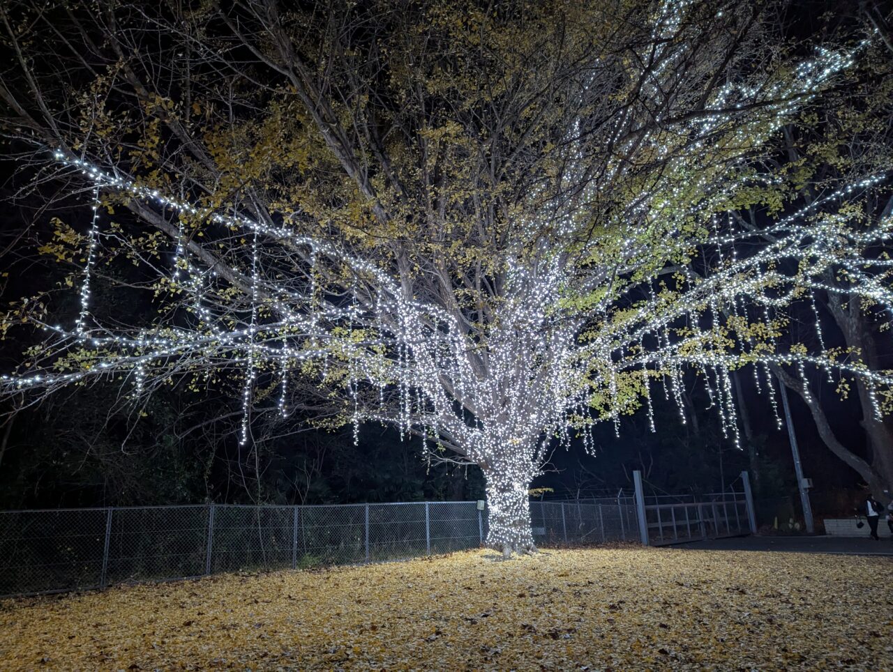 朝霞市のシンボルロード中央広場付近の冬のあかりテラス2025のイルミネーション