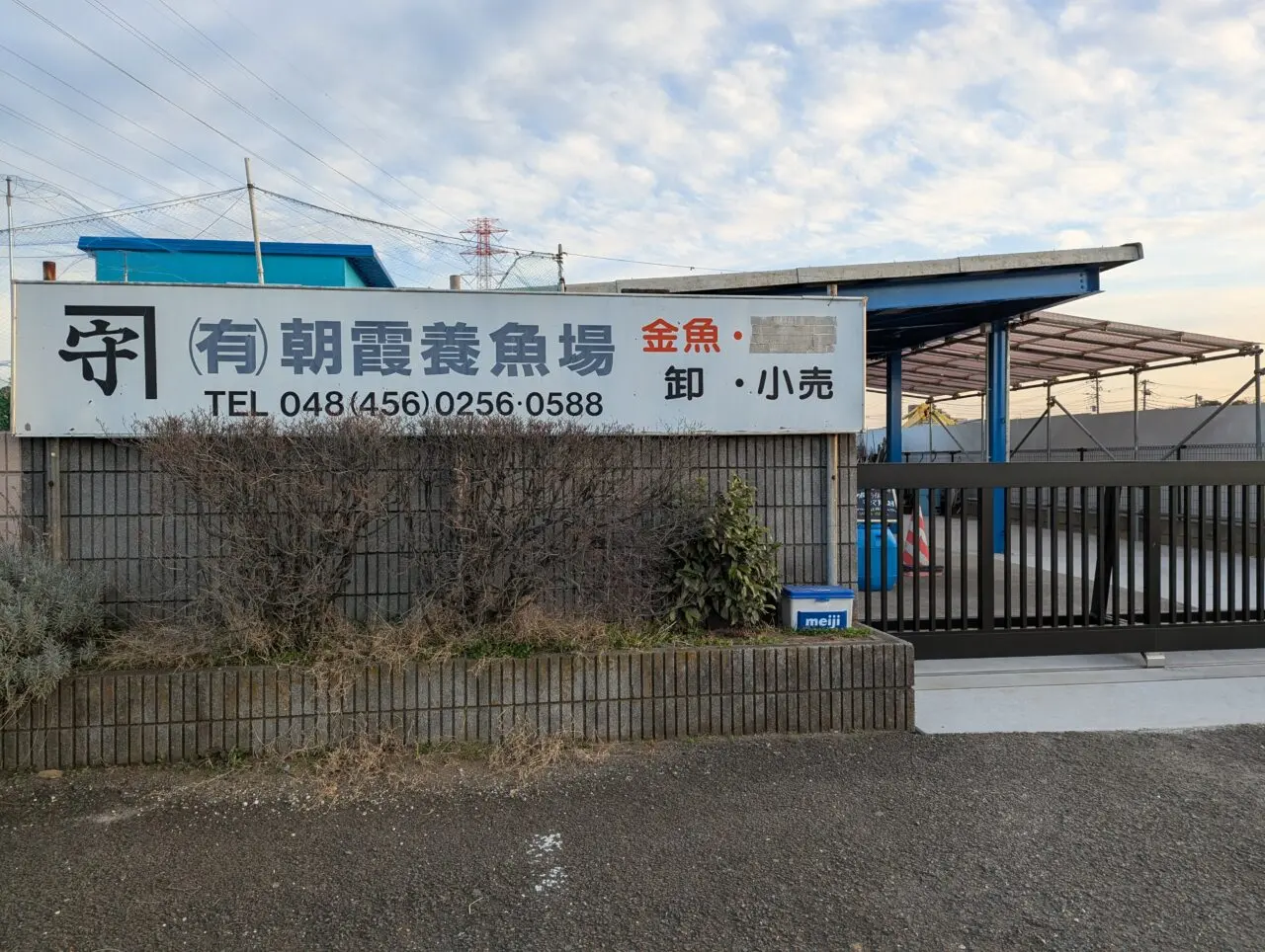 朝霞市浜崎にある釣り堀朝霞養魚場