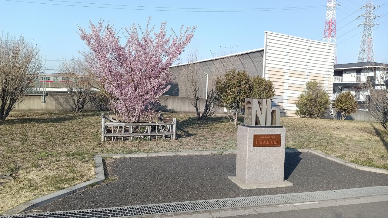 和光市丸山台ニホニウム通りに植えられている理化学研究所が改良に携わった仁科小町