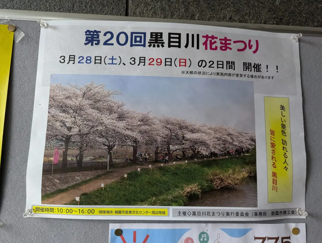 朝霞市を流れる黒目川で行われる第20回黒目川花まつりの告知