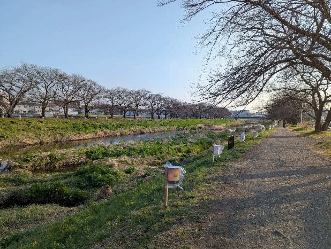朝霞市を流れる黒目川の土手沿い