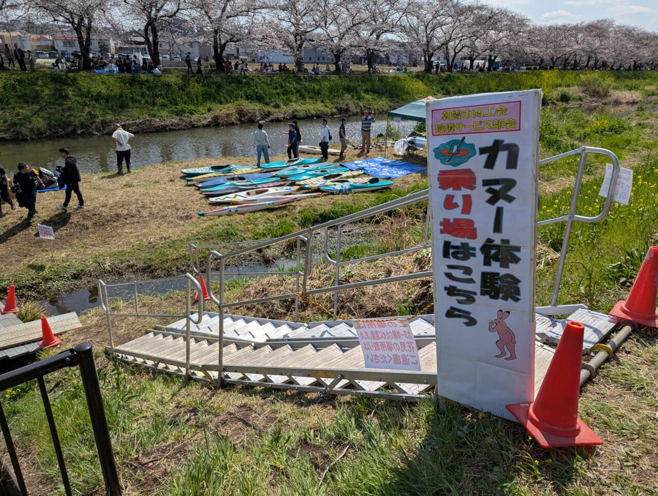 朝霞市内を流れる黒目川桜祭りの様子