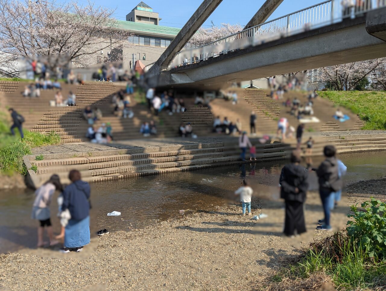 朝霞市を流れる黒目川（浜崎黒目橋そば）
