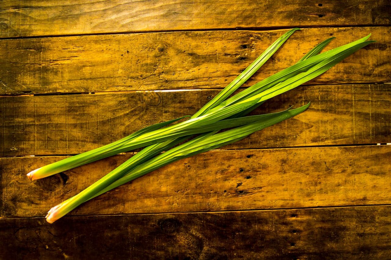菖蒲湯に用いられる菖蒲