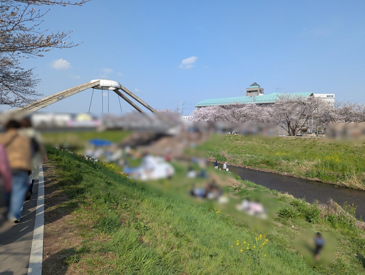 朝霞市内を流れる黒目川花まつりの様子