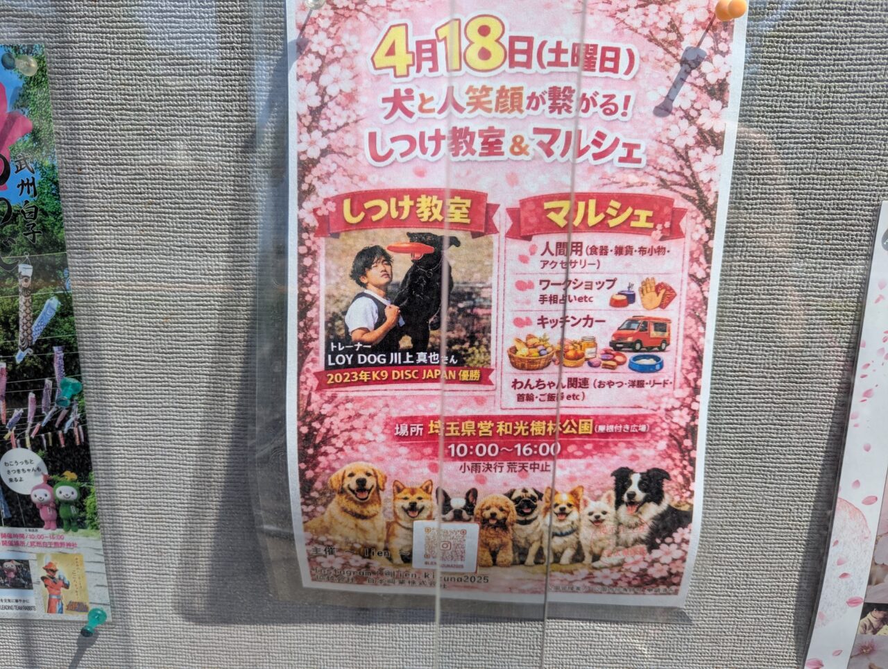 和光樹林公園で行われる犬のしつけ教室とマルシェの告知