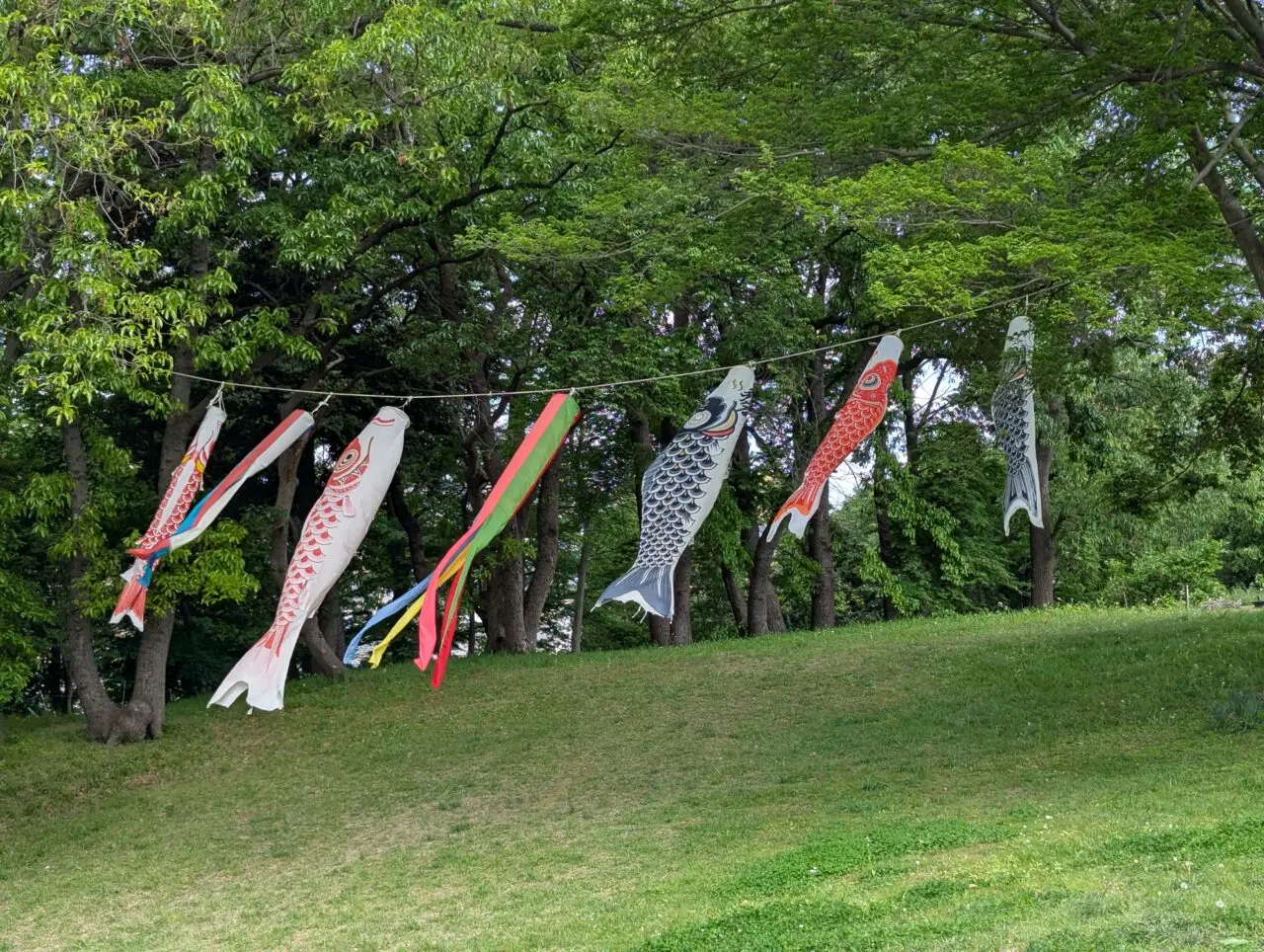 朝霞市根岸台にあるこいのぼり展示中の旧高橋家住宅の様子